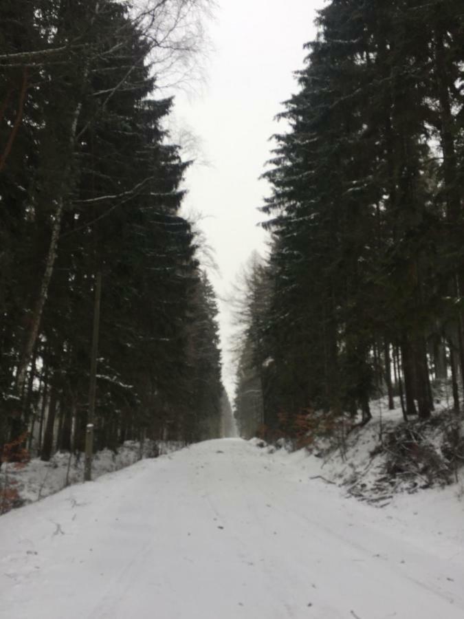 Hermanov 141 Jindrichovice Buitenkant foto